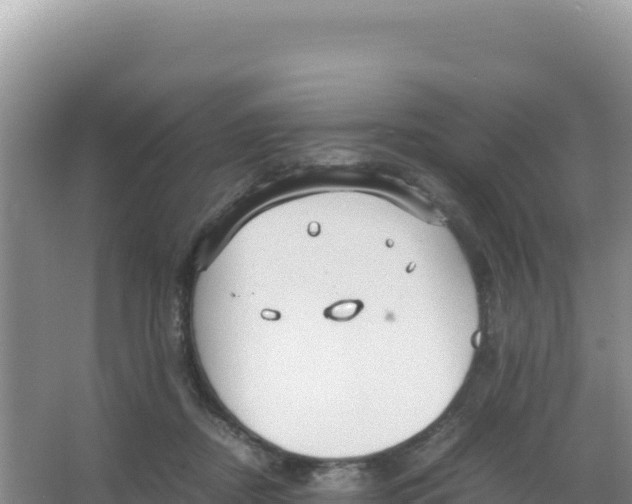 X0000066940362200604142029