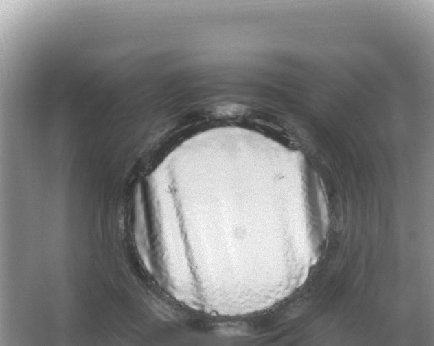 X0000066940363200604142029