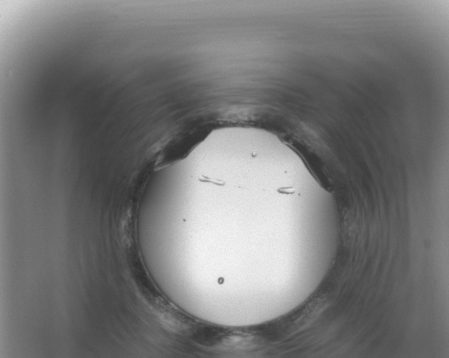 X0000066940364200604142029