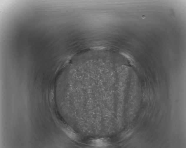 X0000066940365200604142029