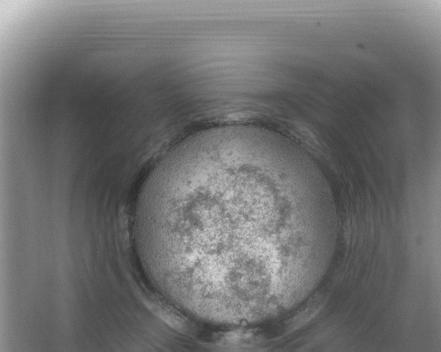 X0000066940366200604142029