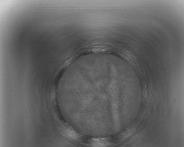 X0000066940367200604142030