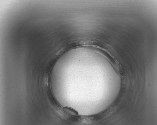 X0000066940368200604142030