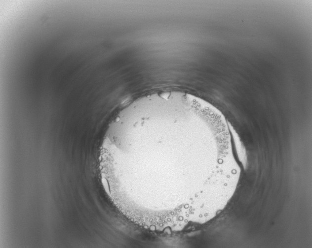 X0000066940370200604142030