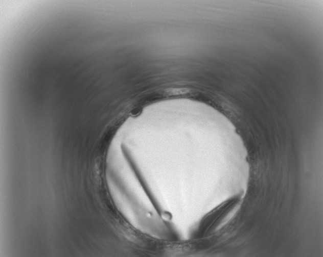 X0000066940373200604142030