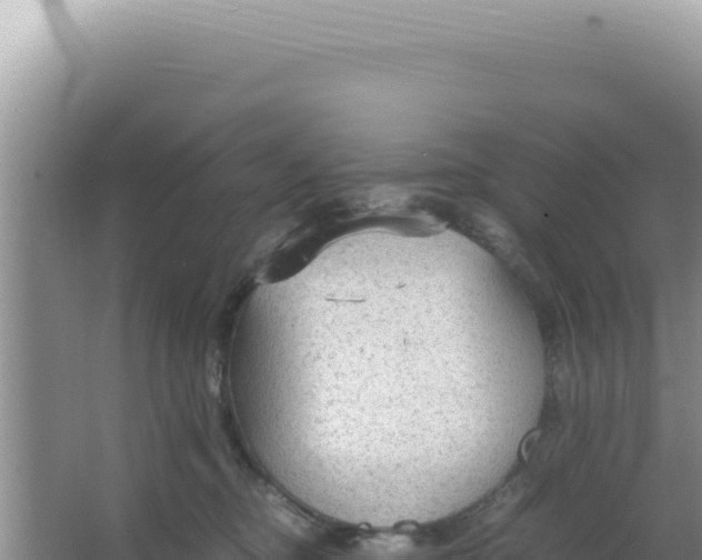 X0000066940374200604142030