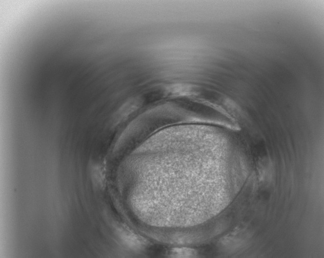 X0000066940376200604142030