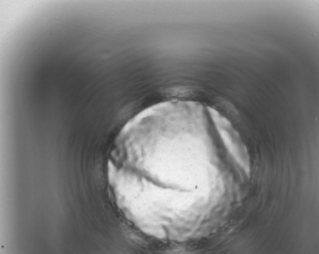 X0000066940377200604142030