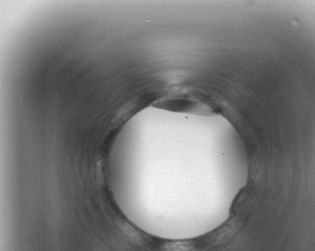 X0000066940378200604142030