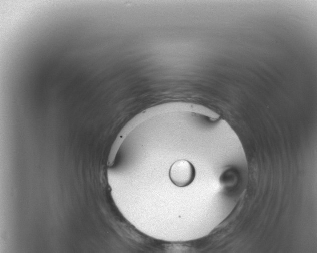 X0000066940380200604142030