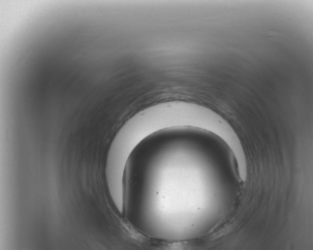 X0000066940382200604142030