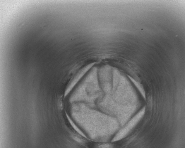 X0000066940383200604142030