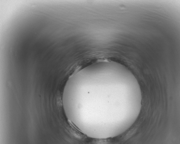 X0000066940384200604142030