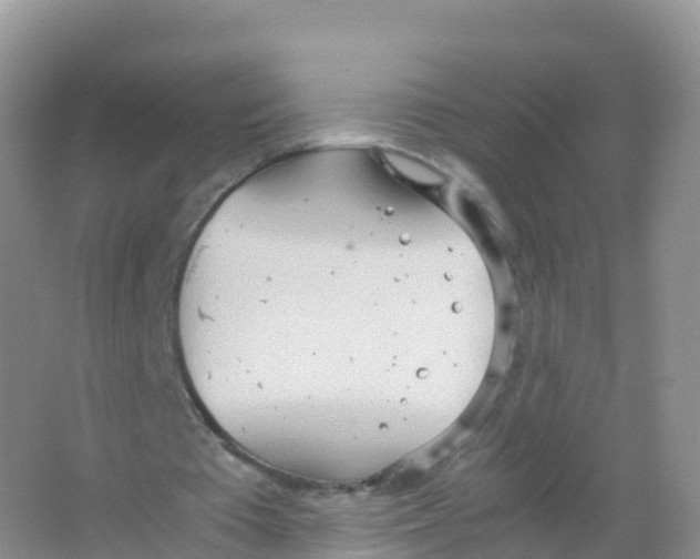 X0000066940385200604142029