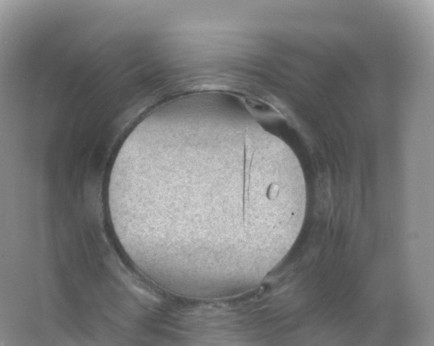 X0000066940386200604142029