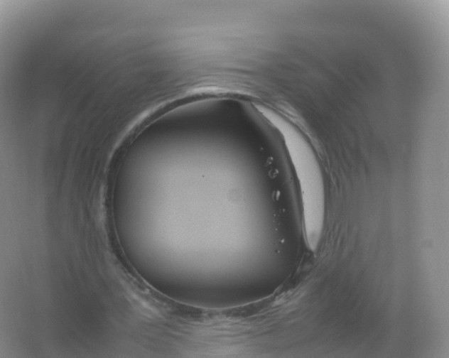 X0000066940387200604142029