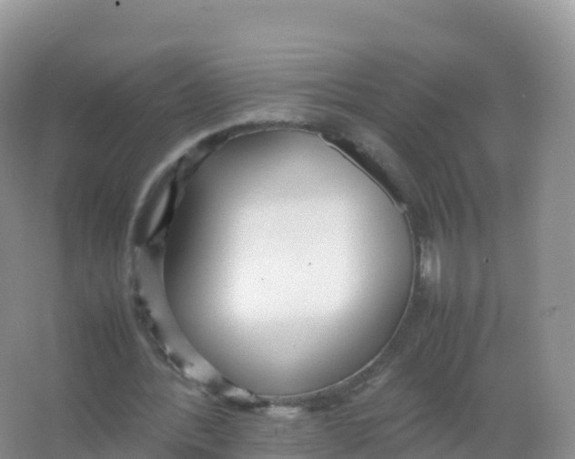 X0000066940388200604142029