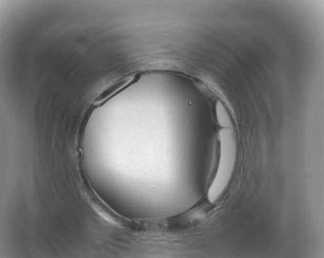 X0000066940389200604142029