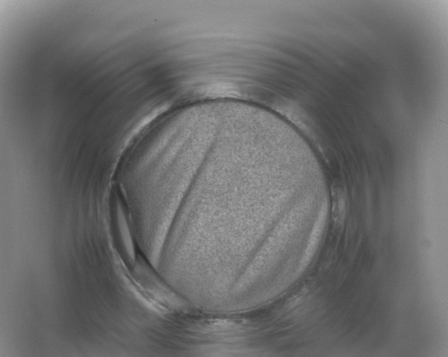 X0000066940390200604142029