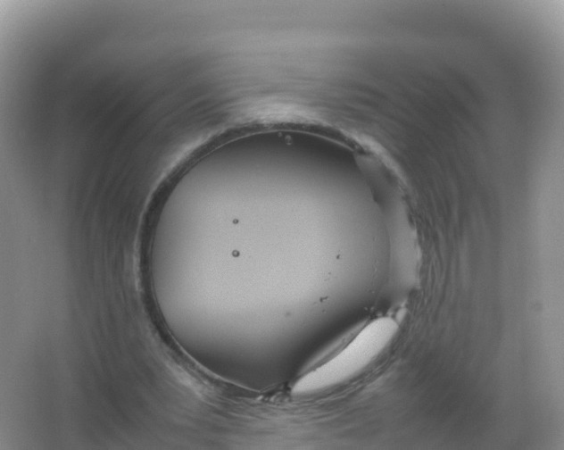 X0000066940391200604142029