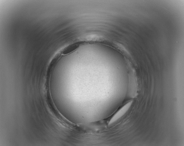 X0000066940392200604142029