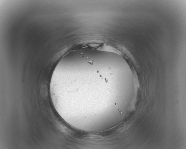 X0000066940393200604142029