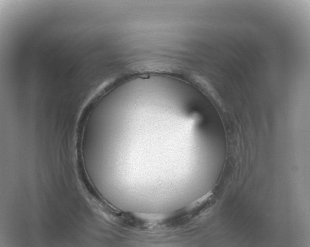 X0000066940395200604142029