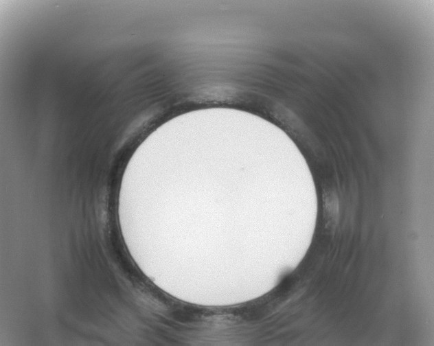 X0000066940396200604142029