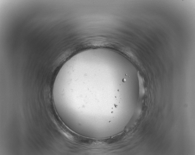 X0000066940397200604142029