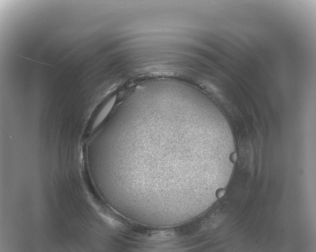 X0000066940398200604142029