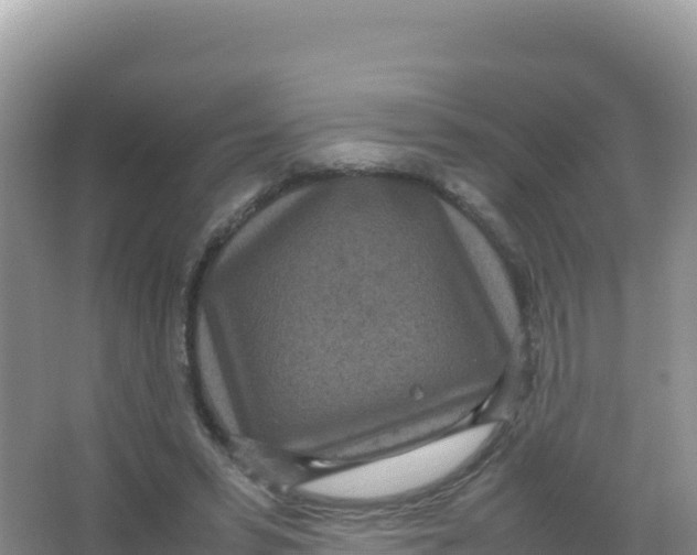 X0000066940399200604142029