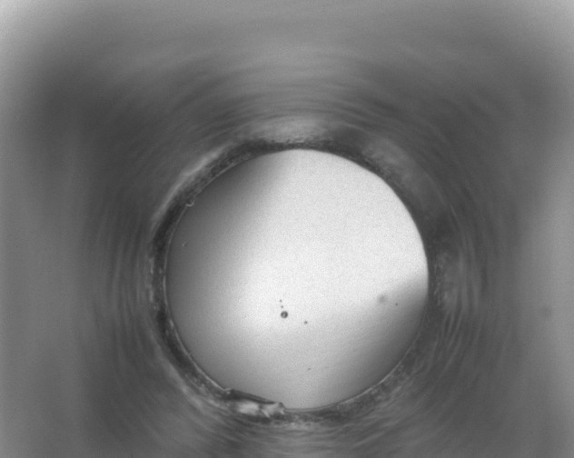 X0000066940400200604142029