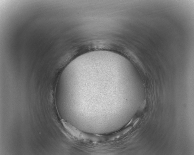 X0000066940401200604142029