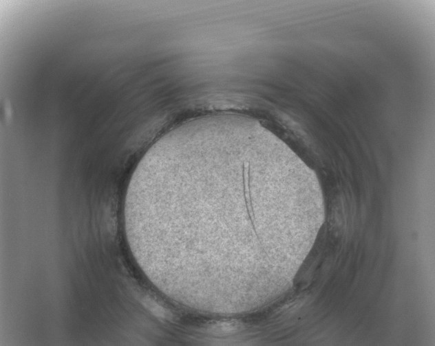 X0000066940402200604142029