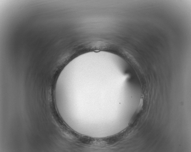 X0000066940403200604142029