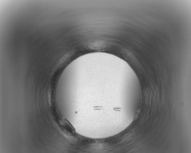 X0000066940404200604142029