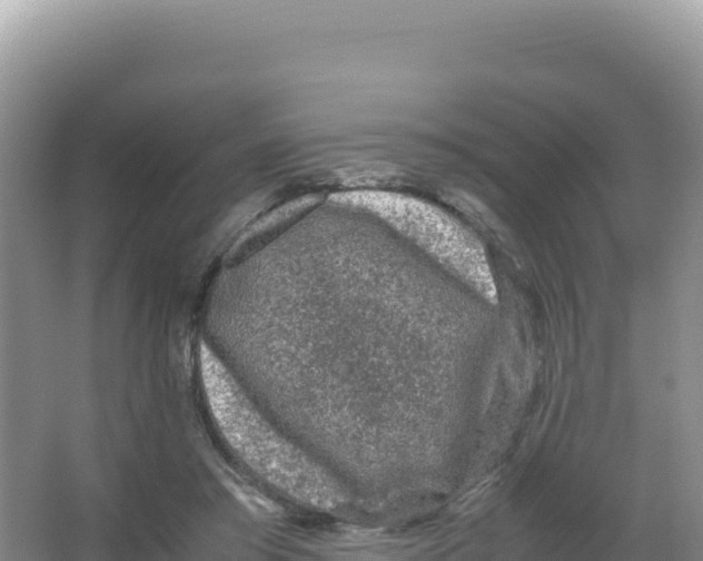 X0000066940405200604142029