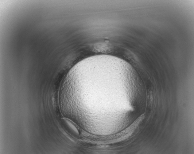 X0000066940408200604142029