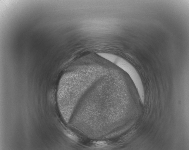 X0000066940409200604142029