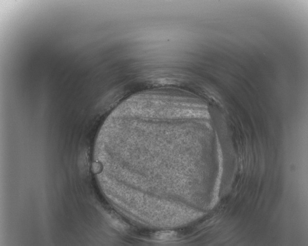 X0000066940410200604142029