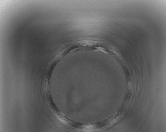 X0000066940411200604142029