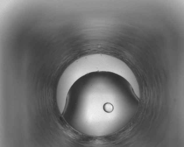 X0000066940412200604142029