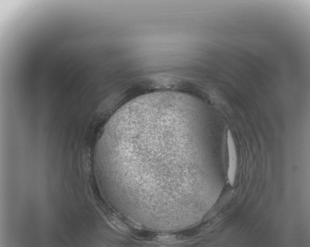 X0000066940413200604142029