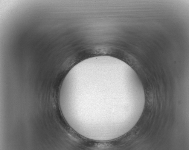 X0000066940414200604142028