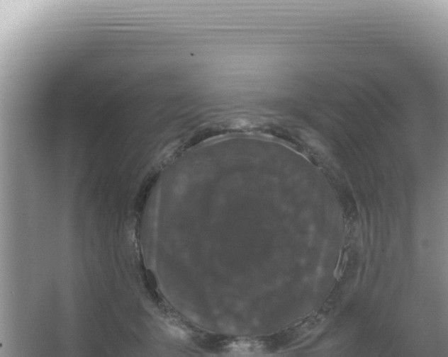 X0000066940415200604142028