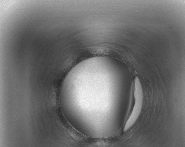 X0000066940416200604142028