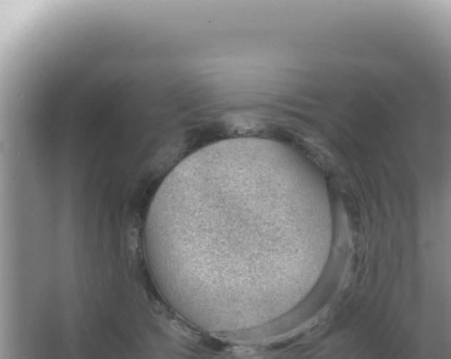 X0000066940417200604142028