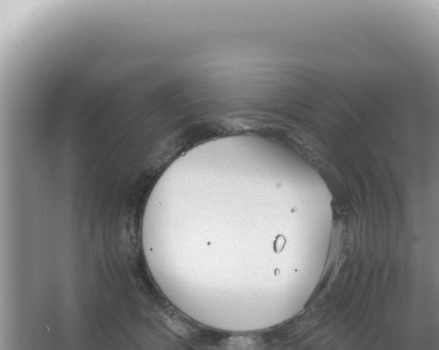 X0000066940418200604142028