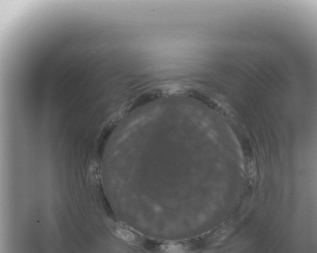 X0000066940419200604142028