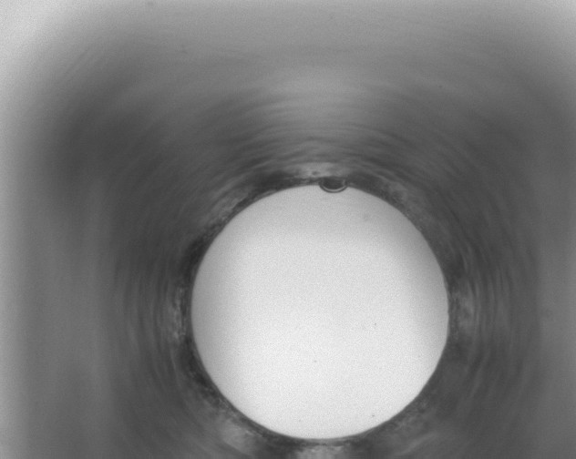 X0000066940422200604142028